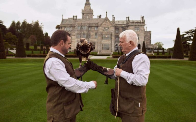 Falconry on the lawn before the Manor House, Adare Manor