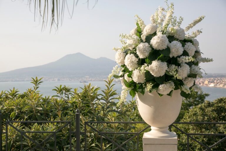 White hydrangea urn on a terrace above the Bay of Naples, Costiera Sorrentina, Alba Greco