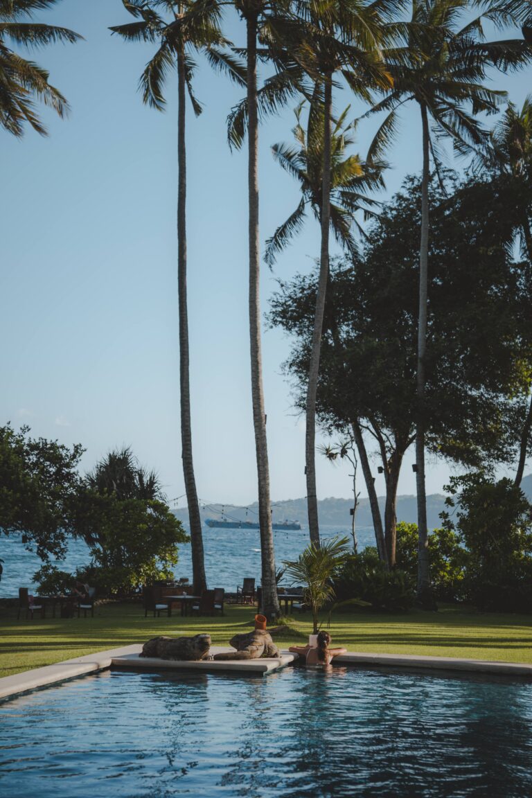 The pool at the water's edge with the sea beyond, Alila Manggis