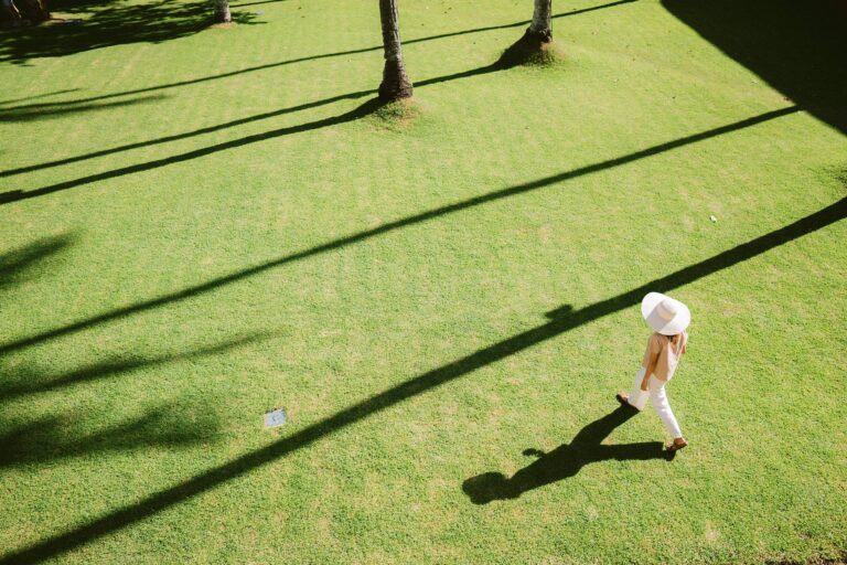 The lawn in the Coconut Grove, Alila Manggis