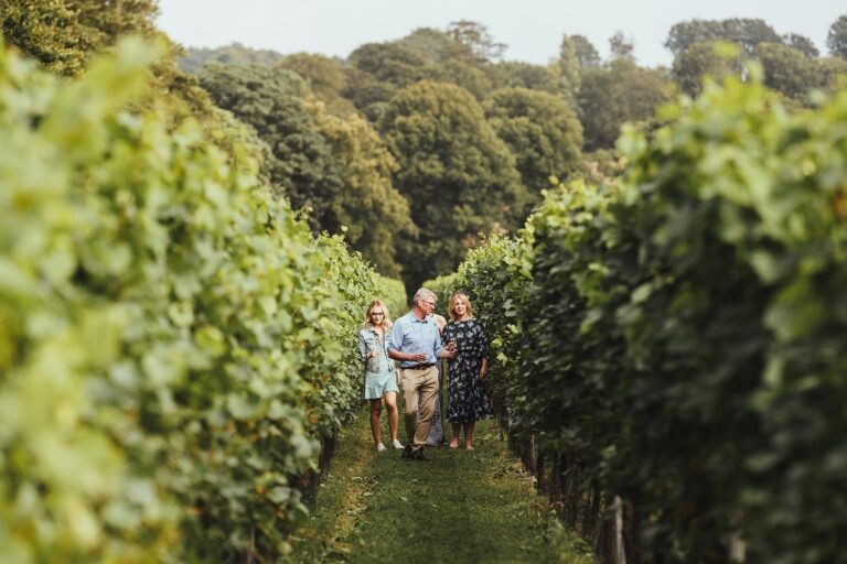 Guests walking between rows of vines in the countryside by the castle, Amberley Castle