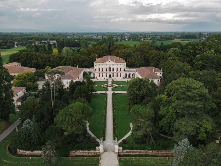 Angel Lion Weddings and Events, Angel Lion Weddings and Events