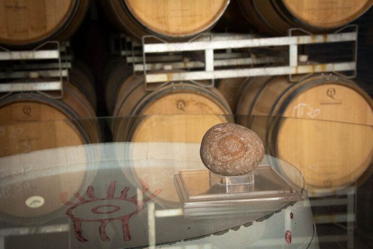 Barrels in the winery, Antucura Wine Estate