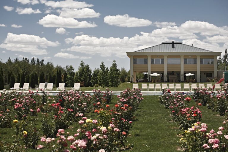 The house seen across a rose garden, Antucura Wine Estate