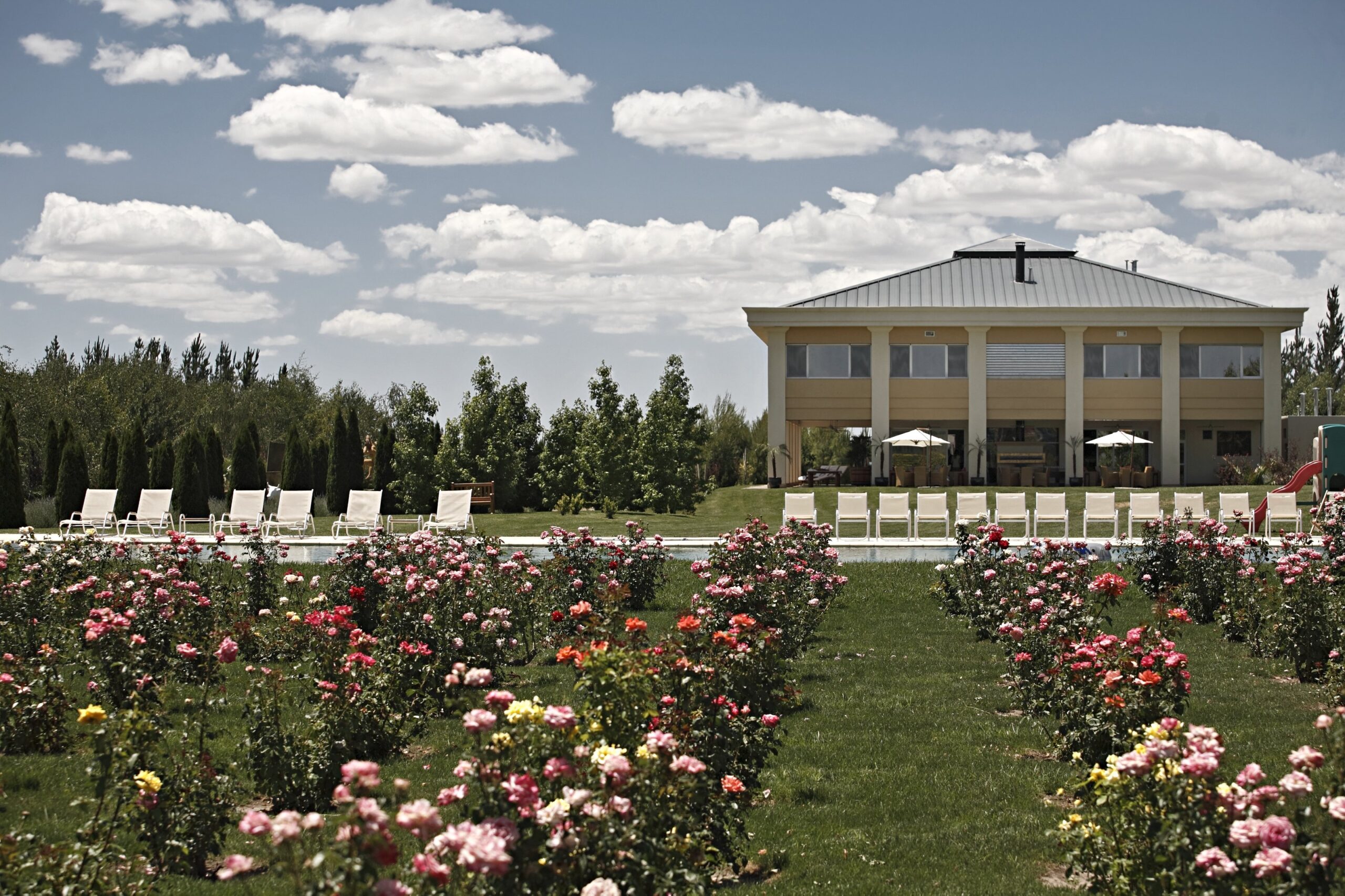 The house seen across a rose garden, Antucura Wine Estate