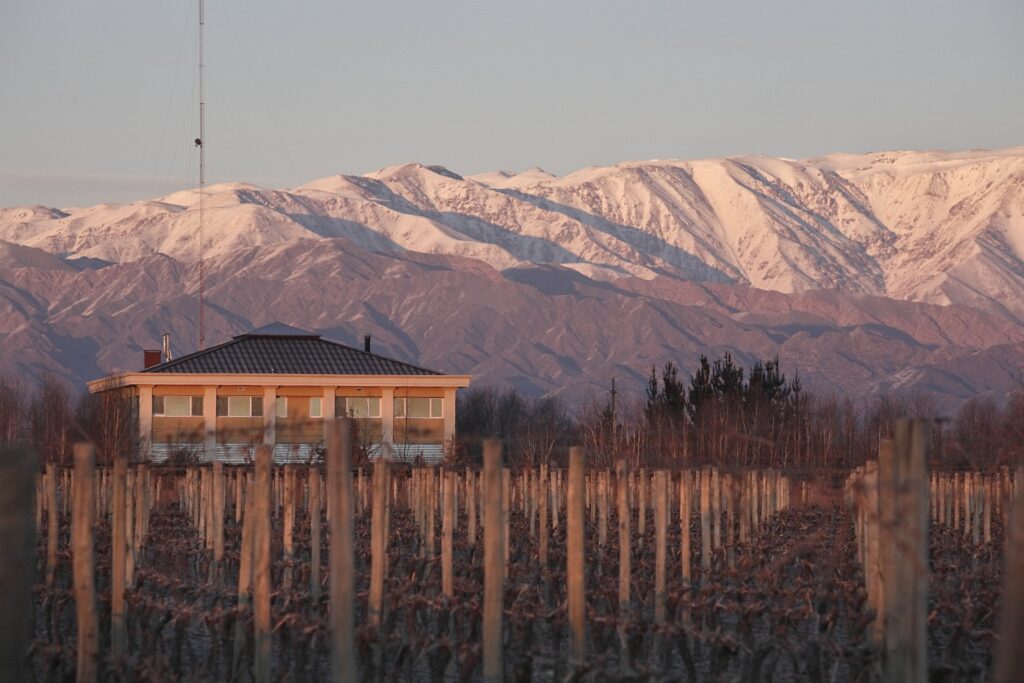 The house in the vines at sunset, with the Andes behind, Antucura Wine Estate