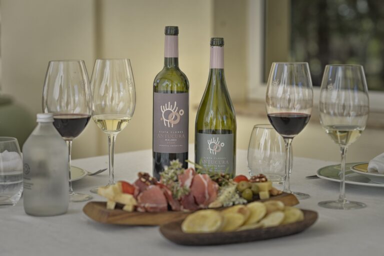 Antucura wines with a charcuterie board, Antucura Wine Estate
