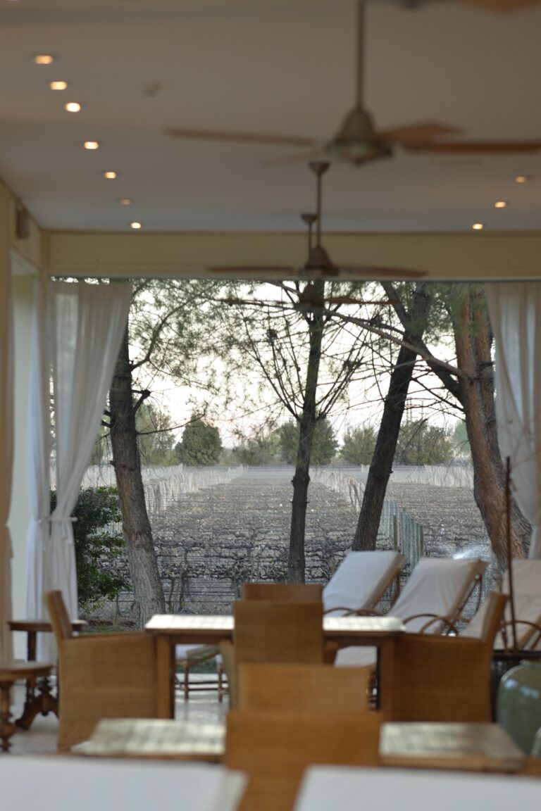 Covered veranda with a view of the vineyard, Antucura Wine Estate