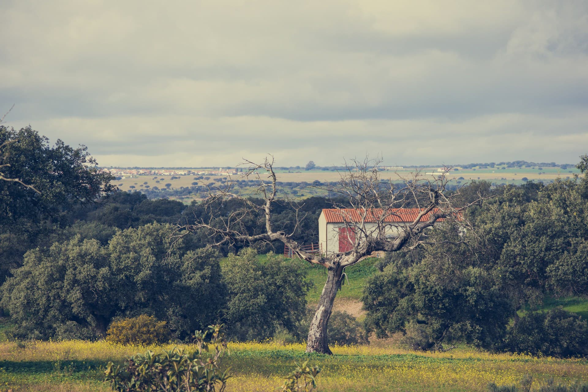 The Alentejo Wedding Atlas