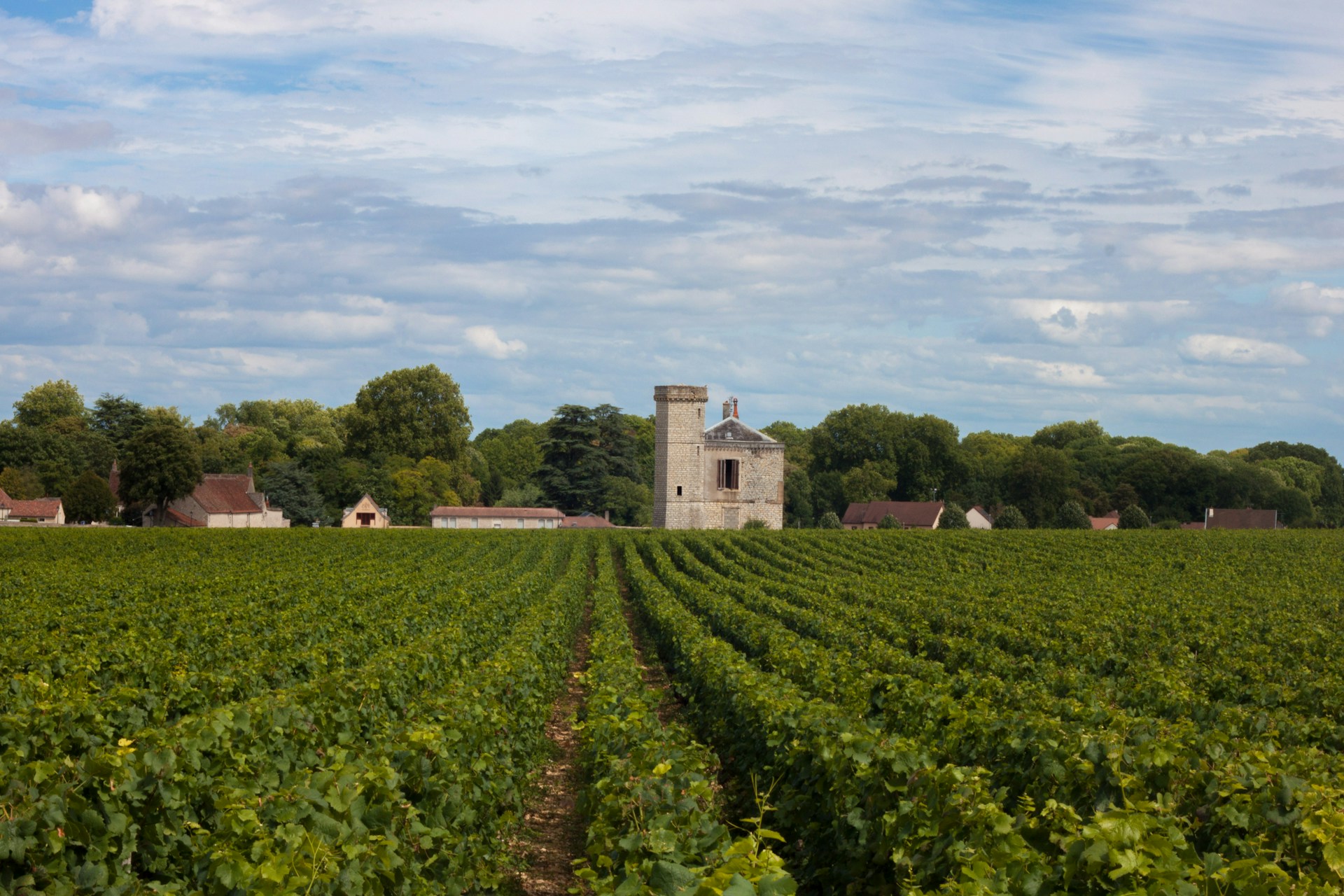 The Burgundy Wedding Atlas