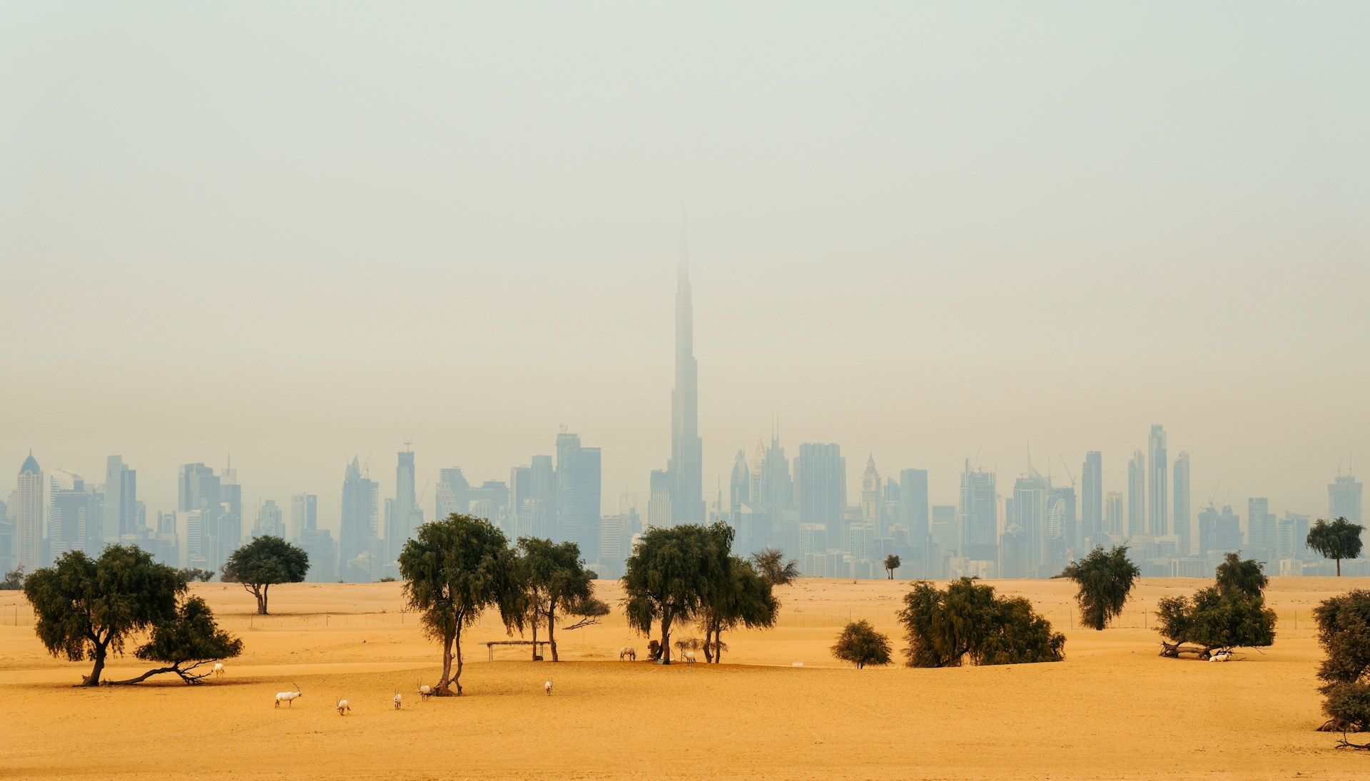 The Dubai Desert Wedding Atlas