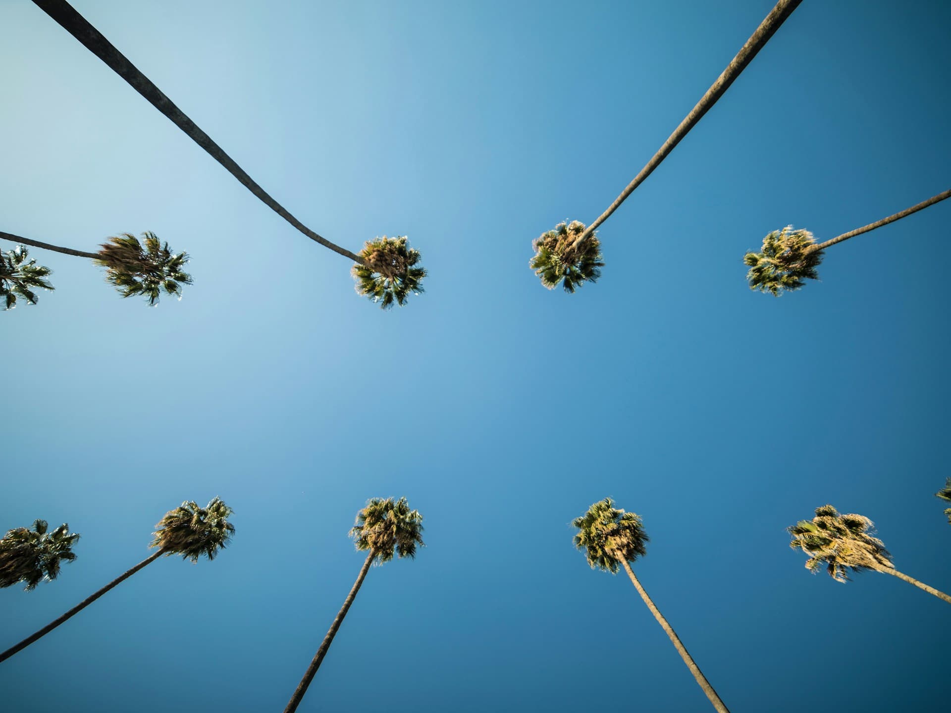The Los Angeles Wedding Atlas