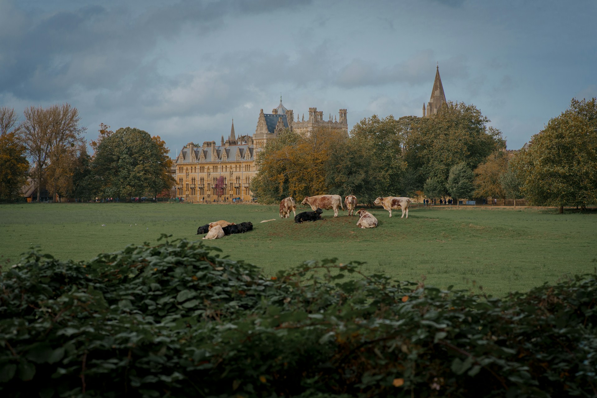 The Oxfordshire Wedding Atlas
