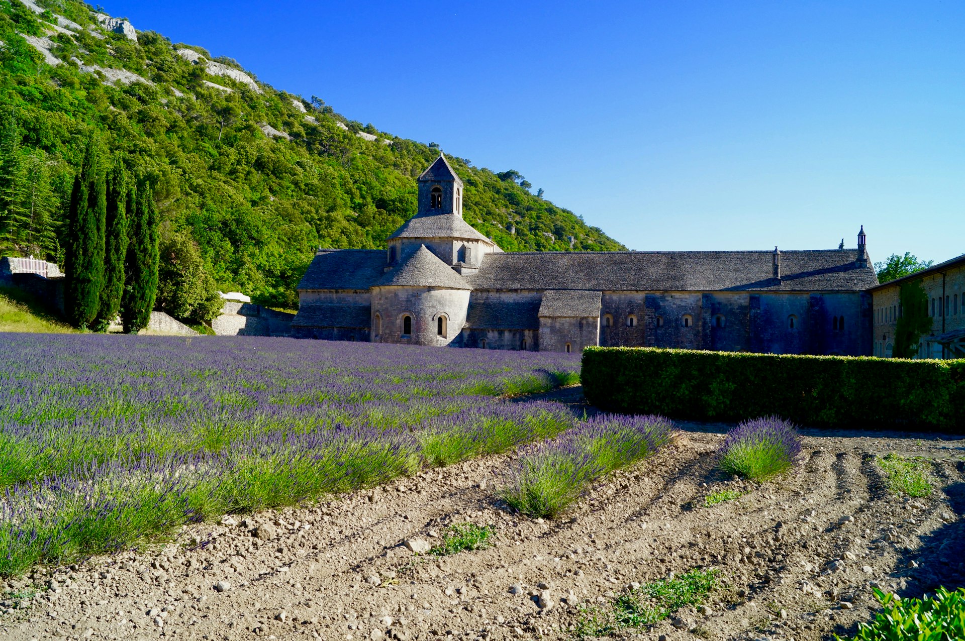 The Provence Wedding Atlas