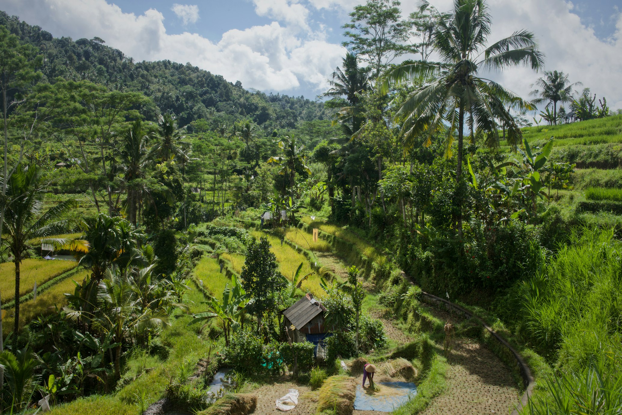 The Sidemen Valley & East Bali Wedding Atlas