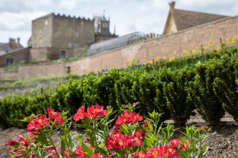 The Walled Garden in bloom, the castle's crenellations rising behind, Auckland Castle