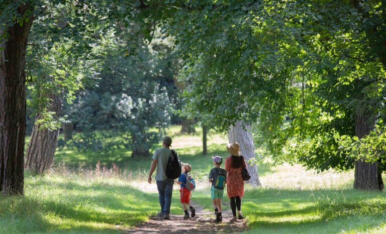 A family walking a wooded path through the Bishop Auckland deer park, Auckland Castle