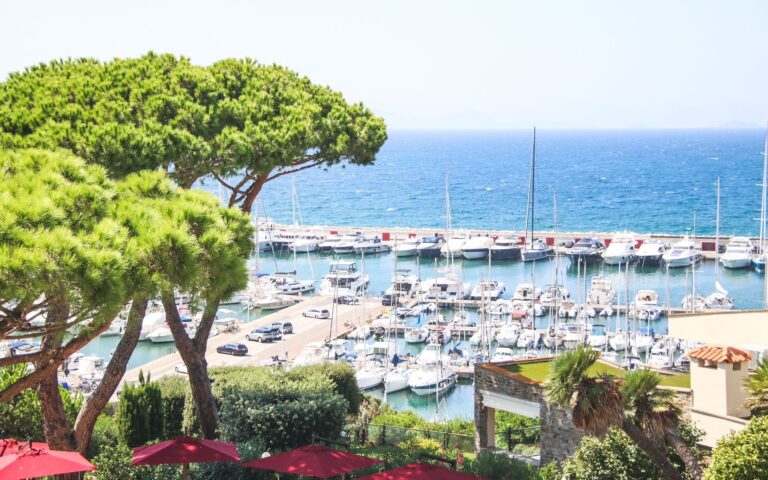 An umbrella pine framing the marina and the Tuscan coast, Baglioni Resort Cala del Porto