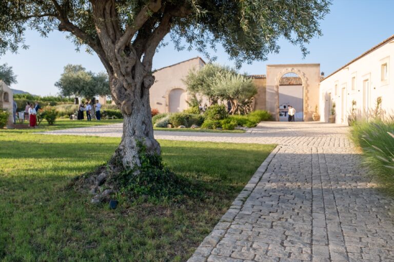 Olive tree and garden path leading to the stone archway, Ballium Luxury Relais