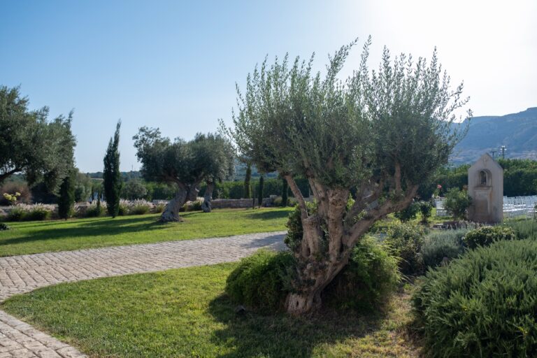 Olive tree and lavender beside the garden path, Ballium Luxury Relais
