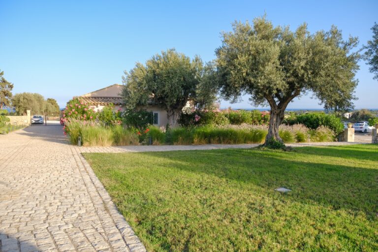 Lawn, olive trees and cobbled path towards the sea, Ballium Luxury Relais
