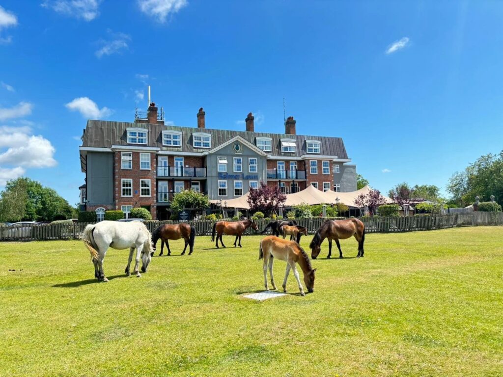 Balmer Lawn Hotel & Spa