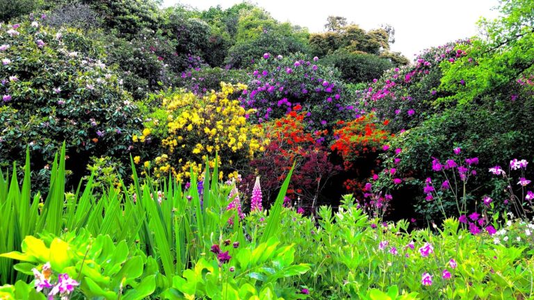 The Gardens in Bloom, Bickleigh Castle