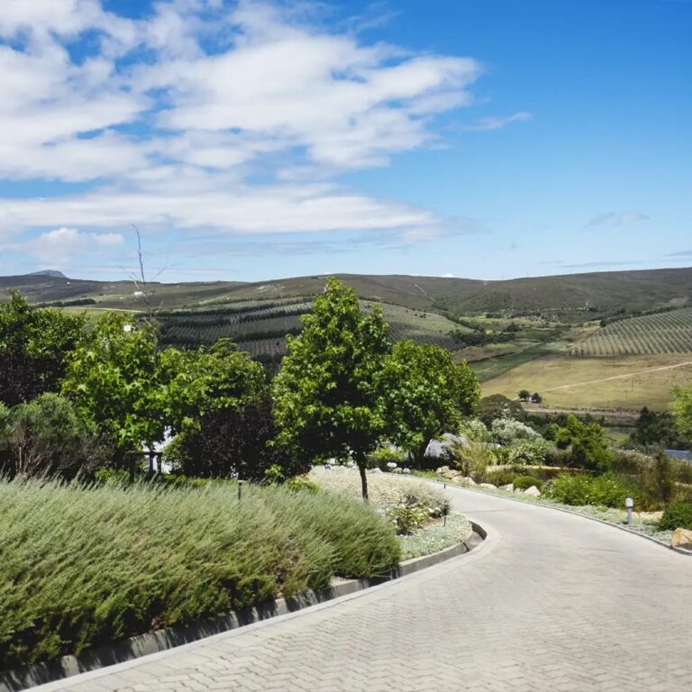 Estate road through the fynbos with the valley beyond, Bona Dea Private Estate