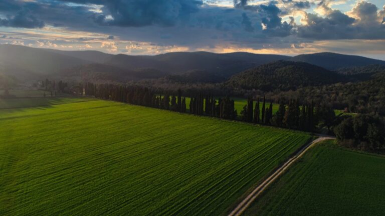 Cypresses at Sunset, Borgo di Recenza
