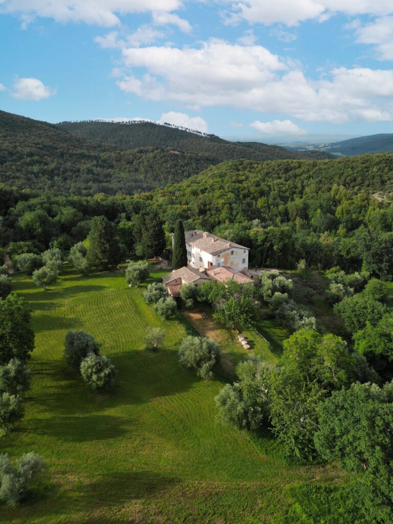 Among the Olives, Borgo di Recenza