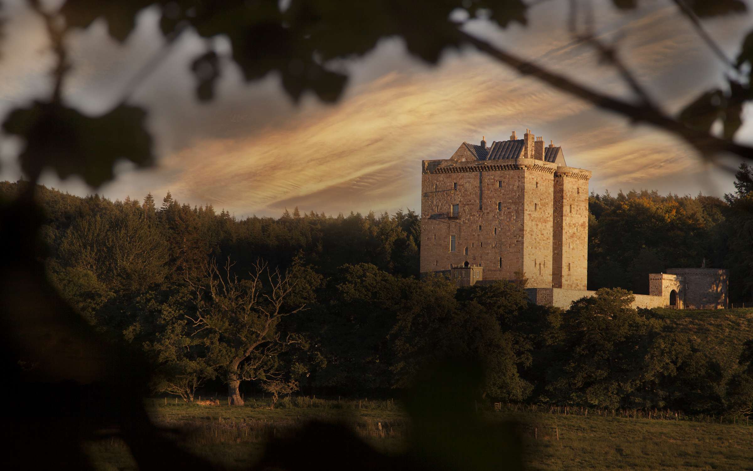 The tower house seen through overhanging branches at sunset, rising above the woods of the valley, Borthwick Castle