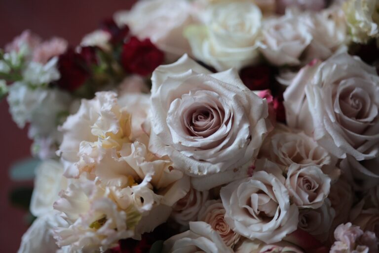 Cream and blush roses, close up, Bottega dei Fiori by Ezio De Angelis
