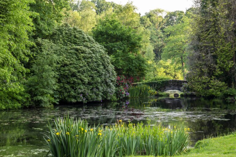 The Grounds and Pond, Bovey Castle