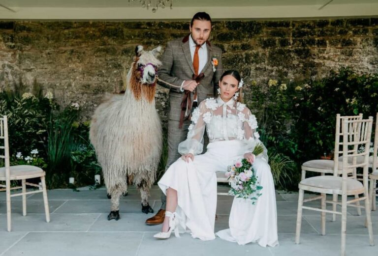 The couple with an alpaca in the flint-and-brick walled garden, Briery Hill House