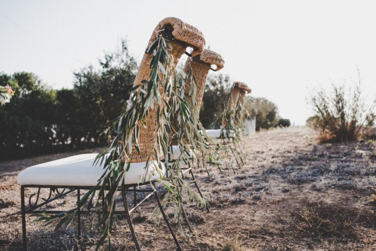 Olive-dressed ceremony chairs facing the sea in Paros, Bright Blue Wedding And Events