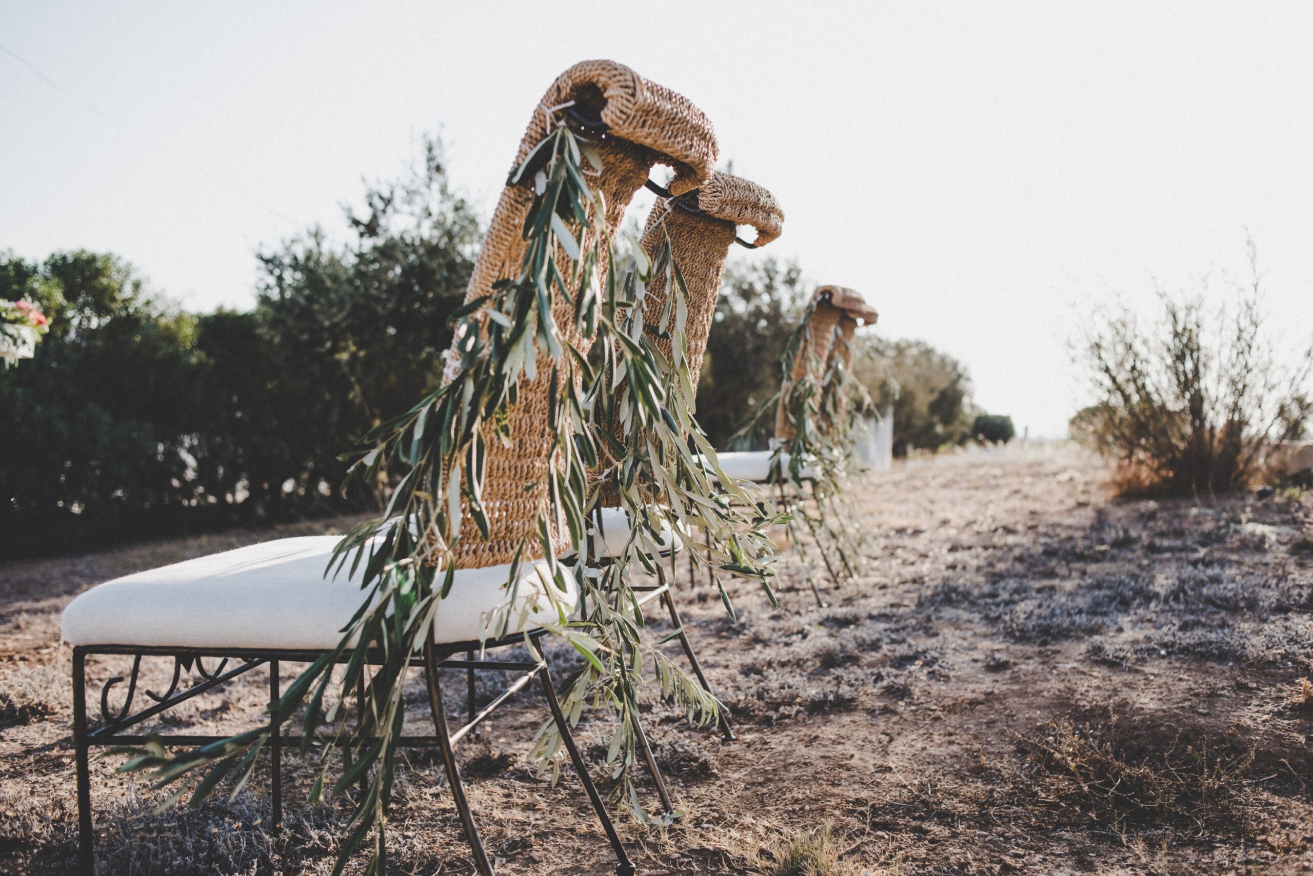 Olive-dressed ceremony chairs facing the sea in Paros, Bright Blue Wedding And Events