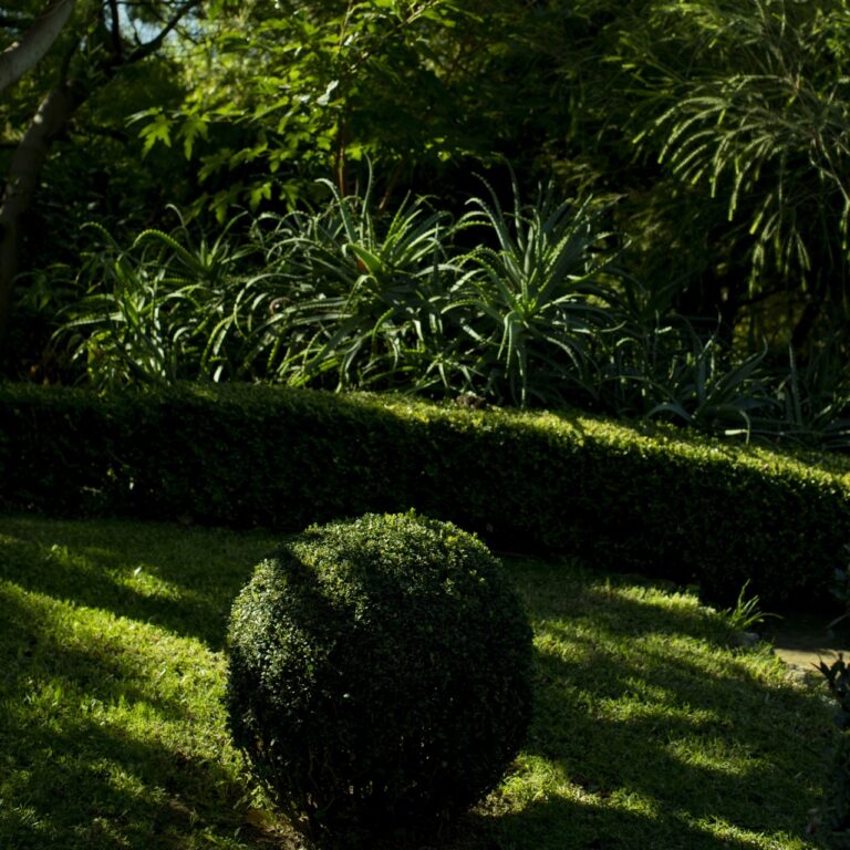 The Topiary Garden, Ca' P'a Casa Privata