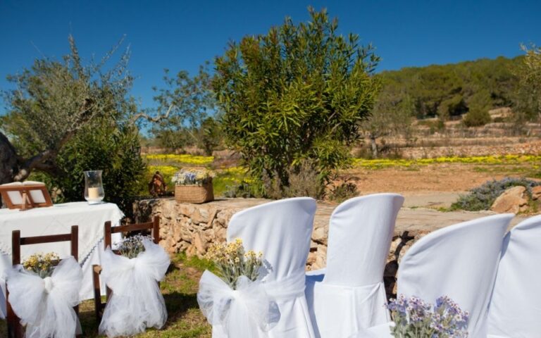 Chairs set for a ceremony among the olive trees, Can Lluc Hotel