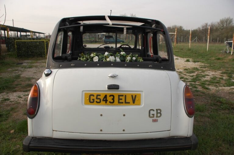 Vintage London taxi, rear, with white flowers on the parcel shelf, Canestri Autonoleggi, Car Hire Italy