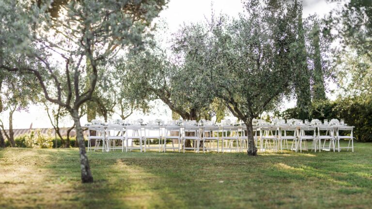 A Ceremony in the Olive Grove, Casale de' Pasquinelli