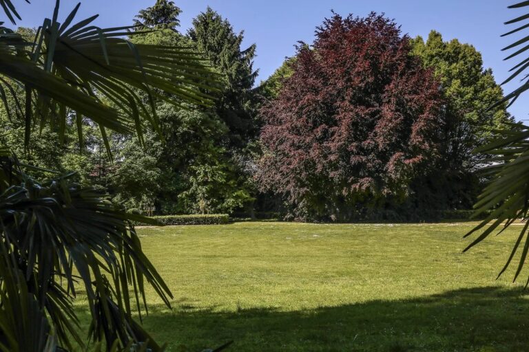 The Century-Old Park, Castello di Collegno