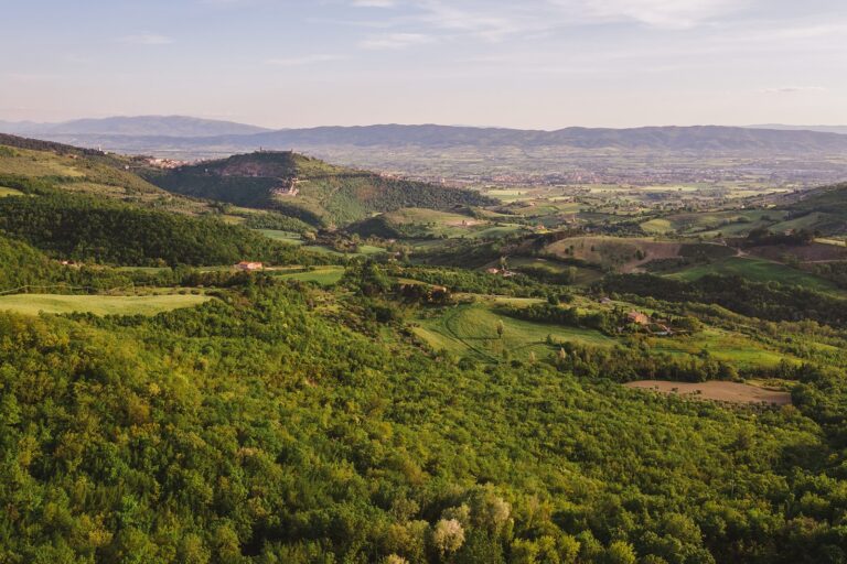 The Estate from the Air, Castello di Petrata