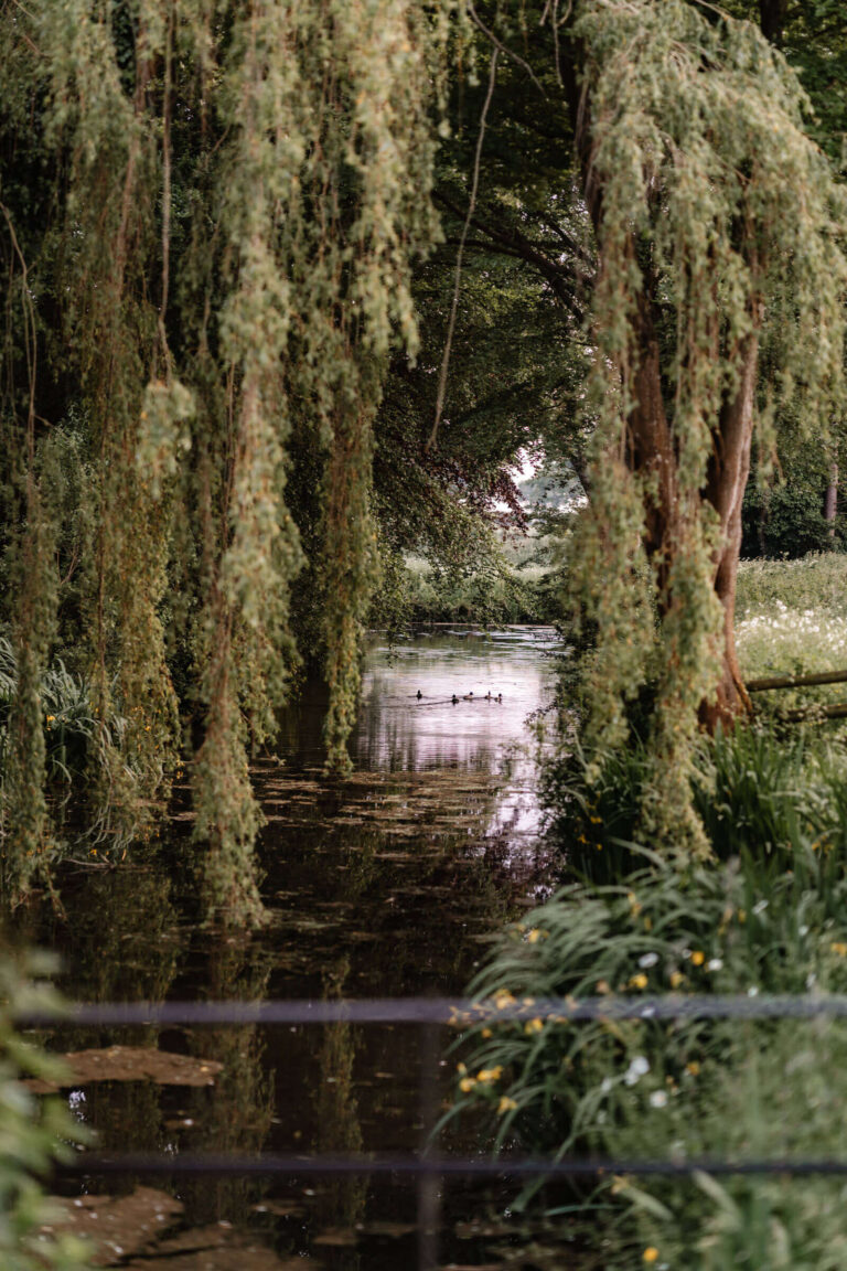 Weeping willows hanging over the moat, Caswell House