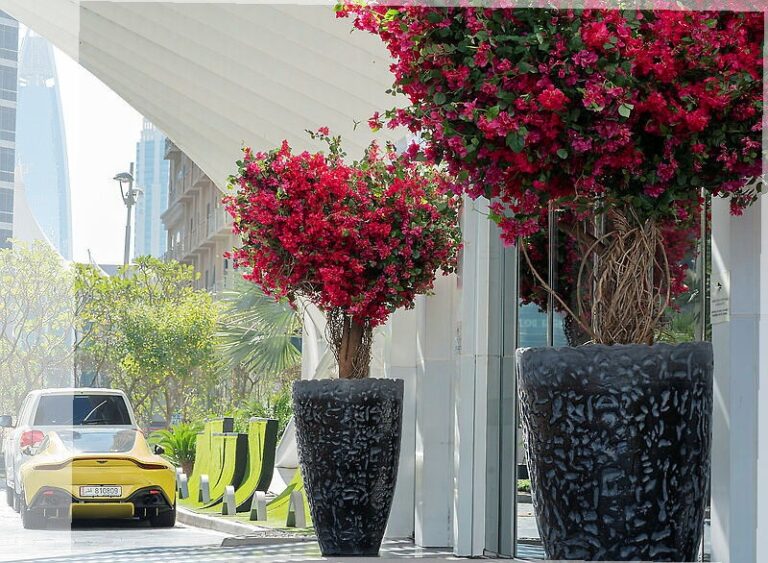 Faux bougainvillea planters at a luxury development entrance, Chantal Flores Design