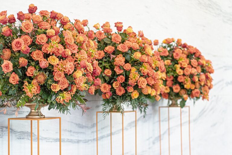 Coral and orange rose arrangements on gilt pedestals, Chantal Flores Design