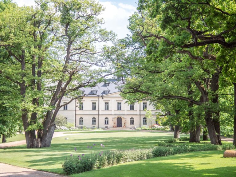 The chateau beyond the oaks of the park, Chateau Mcely