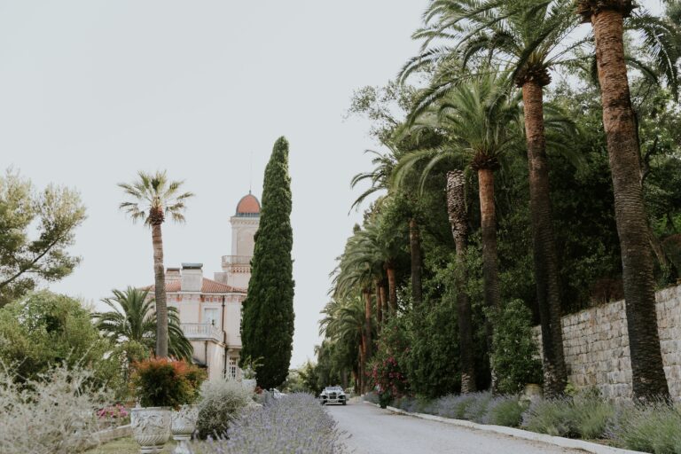 The palm-lined drive towards the château, Chateau Saint Georges