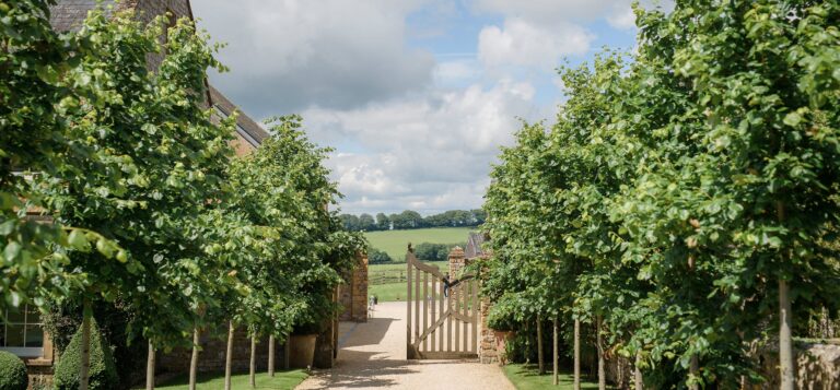 Gateway between lines of pleached trees, Chedington Grange
