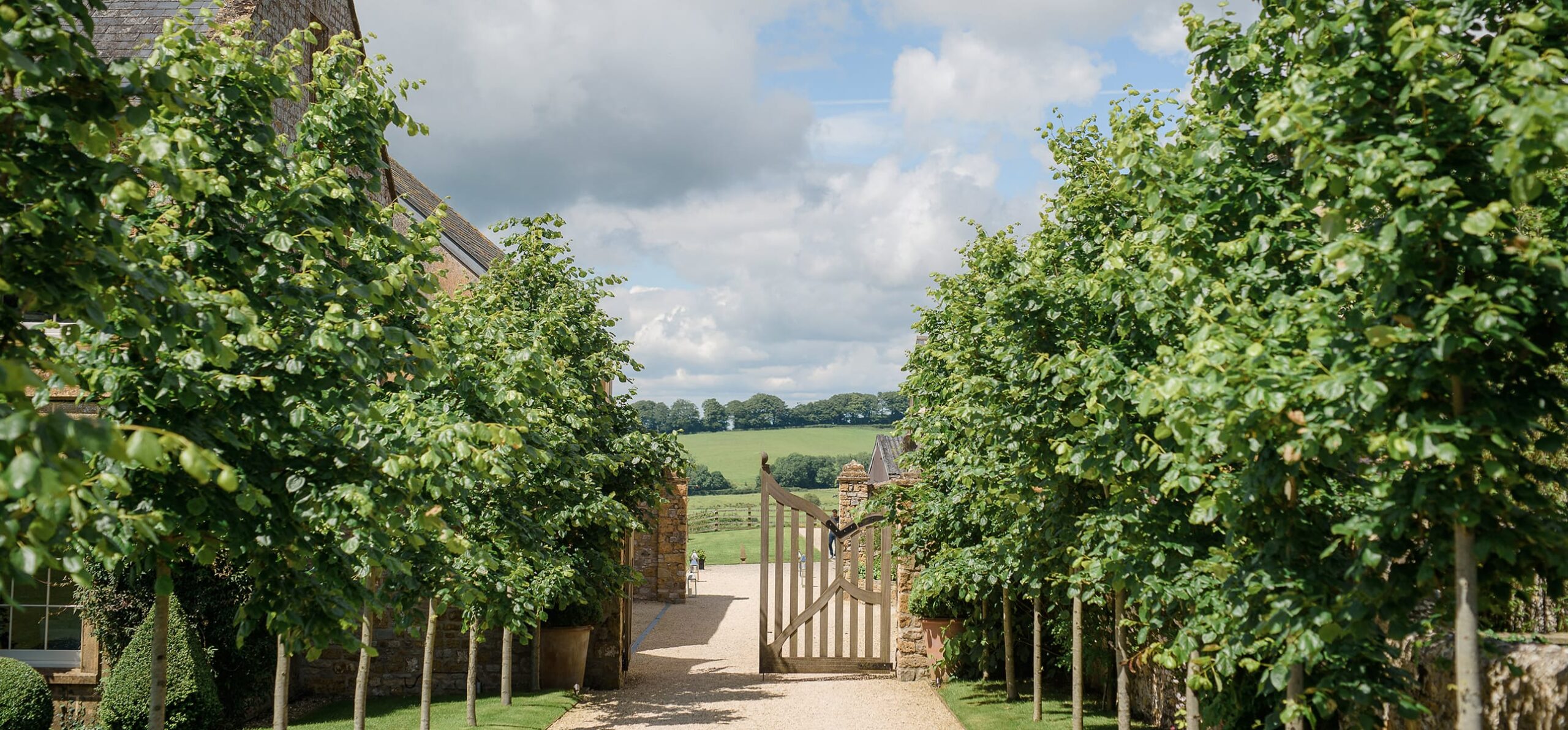 Gateway between lines of pleached trees, Chedington Grange