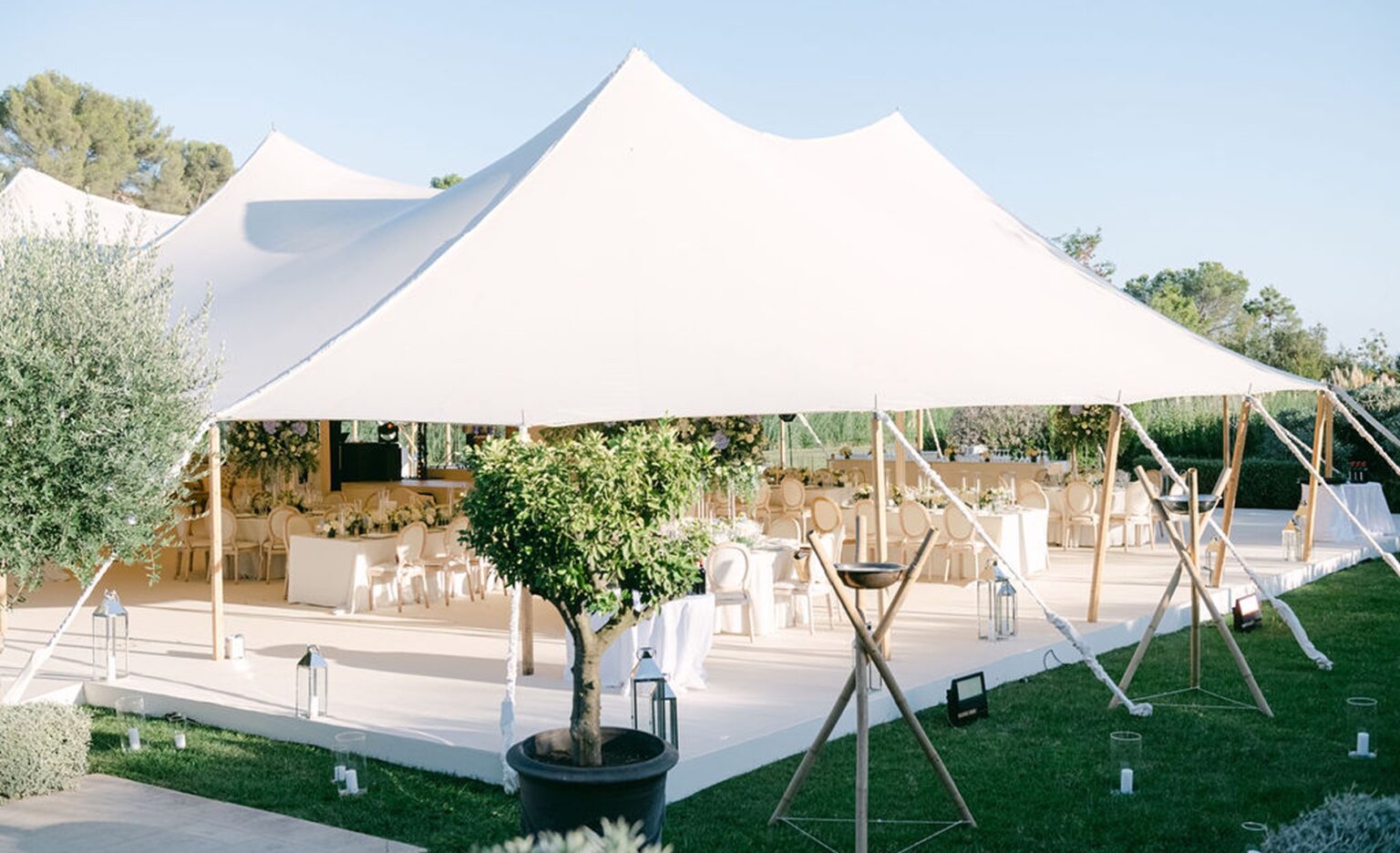A white marquee set among olive trees